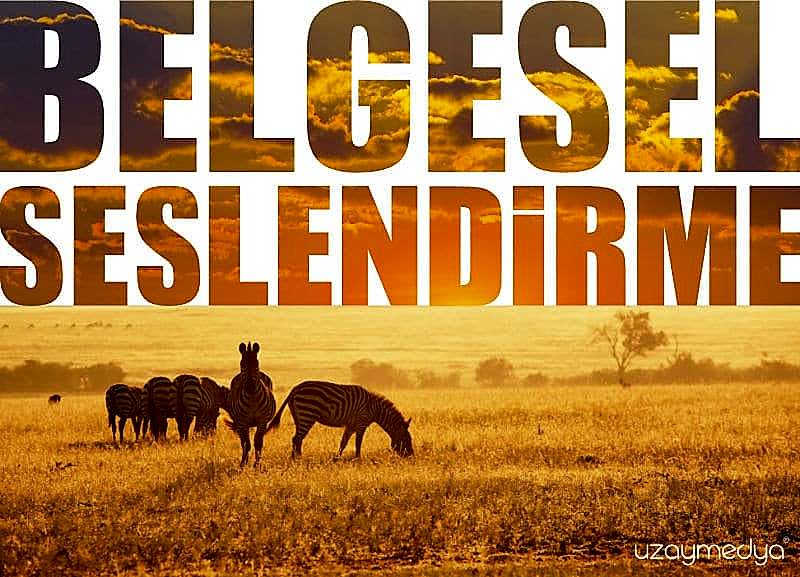 Belgesel Seslendirme