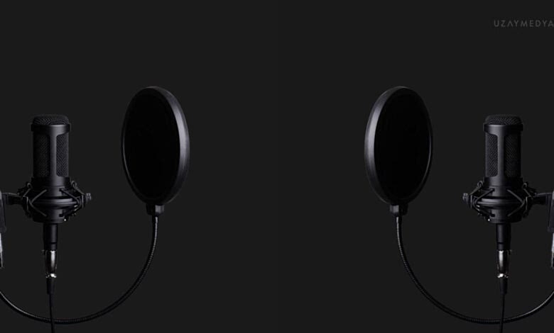 Görselde 2 adet siyah stüdyo mikrofonu yer alıyor
