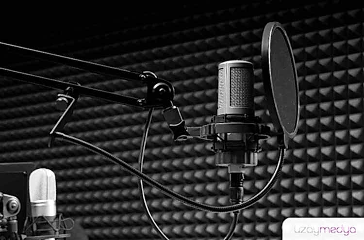 Seslendirme stüdyosu